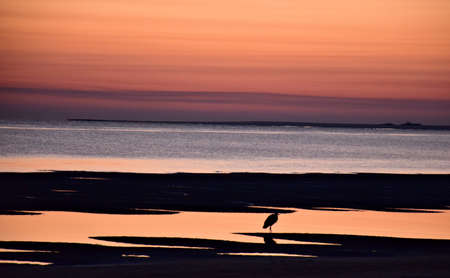 Stunning beach sunrise over tidal poolsの素材