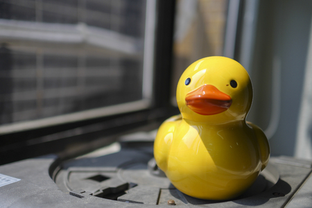 A cute, yellow duck container with bokeh background by a window. Good for use as background.の写真素材