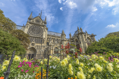 Notre-Dame de paris gardens in a summer sunny day in Paris, Franceの写真素材