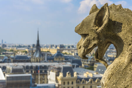 Gargoyle statue with paris aerial view in the background from Notre-dameの写真素材