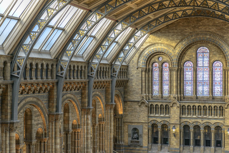 Natural History Museum Interior in London, United Kingdomのeditorial素材