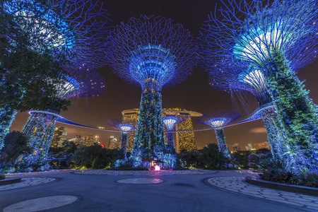 Singapore - April 13: Night view of the Supertree Grove in the Garden by the Bay with Marina Bay...