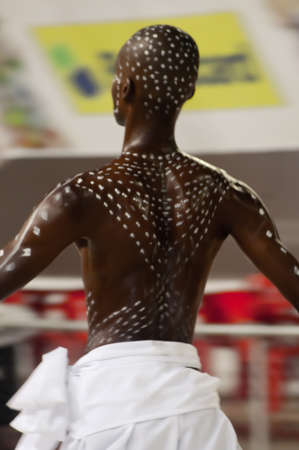 VitÃ³ria, Brazil - February 2011 - People Celebrating the Carnaval.のeditorial素材