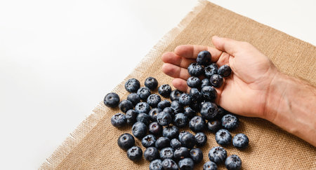 Blueberries harvest background. Fresh organic blueberries in the male farmers hand.の写真素材