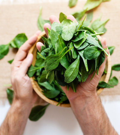 Green leaves spinach in males hands high angle view. Healthy food and eating.の写真素材