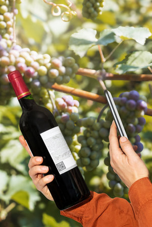 Scanning reading digital label on whine bottle.