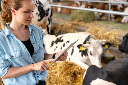 Modern woman livestock farmer works in dairy farm using digital tablet, collecting cloud data of animals. smart technology in agriculture.の写真素材