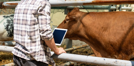 Man farm worker inspects animals on a livestock farm using digital tablet.