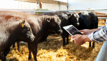 Smart cattle ranch. Digital solution in livestock farming. Digital tablet in hands of male farmer on background with black cows.の写真素材