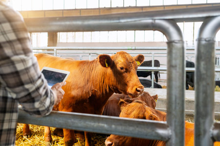 Livestock health monitoring. Farmer with digital tablet and cow on farmの写真素材