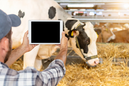 Farmer holding digital tablet with blank screen in livestock barn with cowの写真素材
