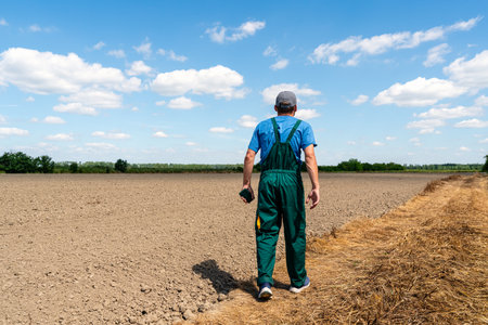 Back view of male farmer walking by leveled agricultural field on sunny dayの写真素材