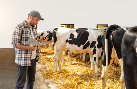 Male farm worker checking mobile phone indoors near cows in livestock barn