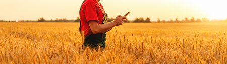 Agricultural worker texting on mobile phone in golden grain field