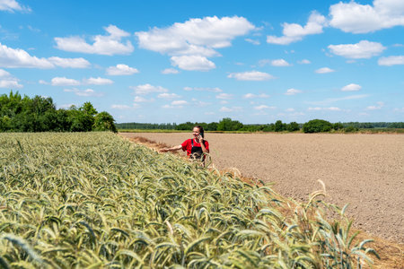 Female farmer using smartphone in agricultural field in sunny summer dayの写真素材