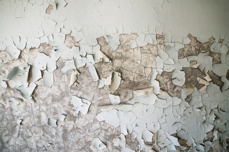 peeled paint on the wall of a desolate building in abandoned Pripyat. Chernobyl zoneの写真素材