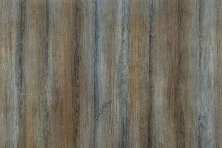 Wood background texture. Texture of wood background closeup.