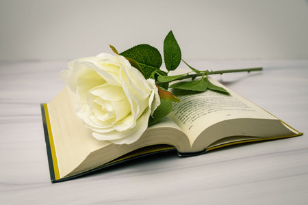 White rose resting on an open book on a light marble surface, romantic reading concept with soft...