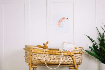 Carrycot with toys and blanketsの写真素材