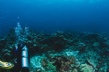 Scuba diver explore a coral reefの写真素材