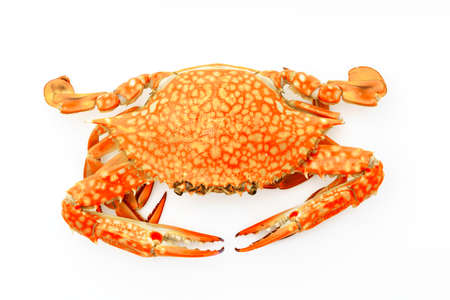 Steamed crabs on white background