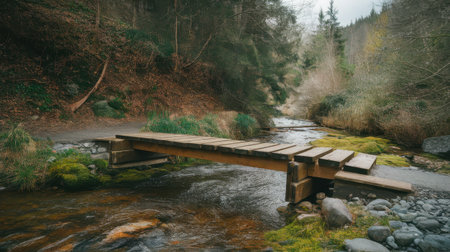 A wooden bridge over a stream in the middle of the forest.の素材