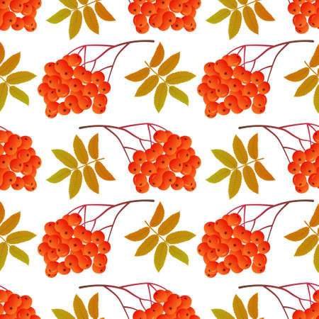 Rowan bunches seamless pattern with leaves.Colorful print with repeating elements.Bright berries with autumn foliage on a white background.Vector illustration.のイラスト素材