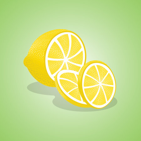 Slices of lemon on greenのイラスト素材