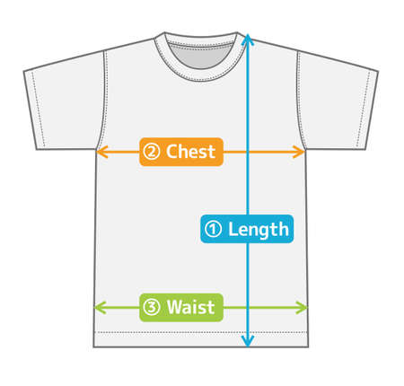 t-shirt illustration for size chart (english) / color versionのイラスト素材