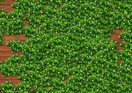 Brown wooden wall and ivy / background textureの写真素材