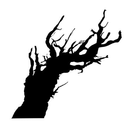 Old leafless tree silhouette vector illustrationのイラスト素材