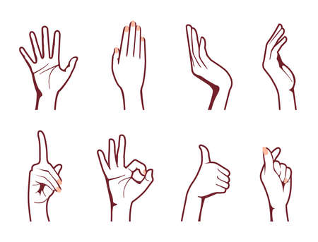 Female hand gesture (hand sign) vector illustrationのイラスト素材