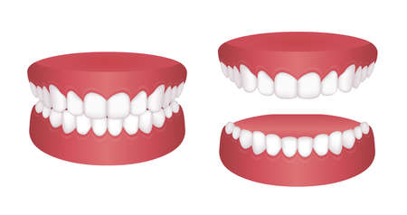 Normal teeth Vector illustration setのイラスト素材