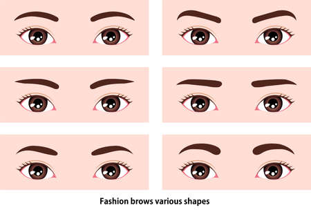 Female eyebrows varios vector illustration / Asian, Japanese,Korean