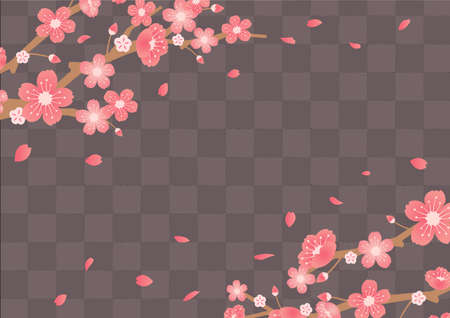 Cherry blossoms background illustration ( spring season theme )のイラスト素材