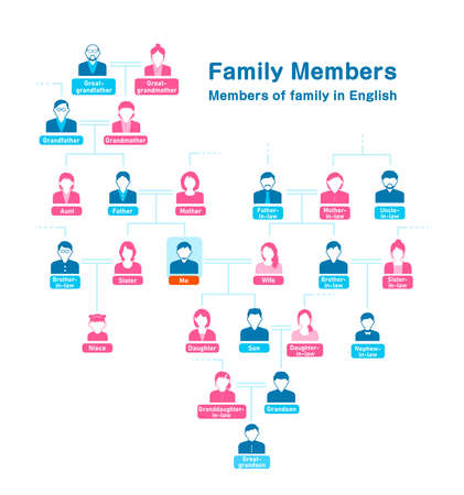 Family tree ( members of family ) vector illustrationのイラスト素材