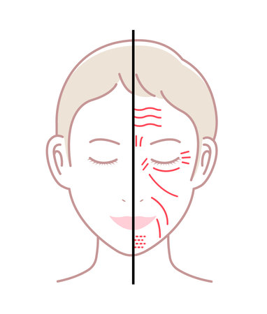 Facial wrinkles ( female face ) vector illustration / no textのイラスト素材