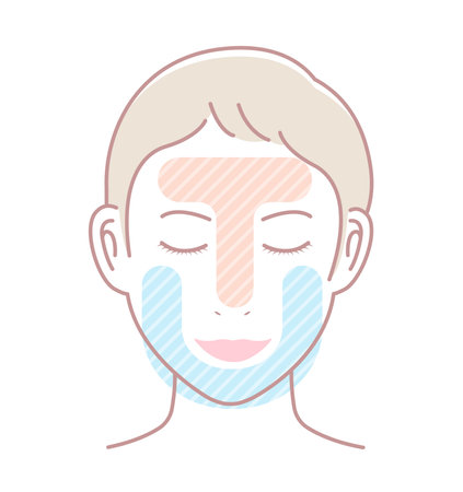 Vector illustration of T-zone and U-zone of female face / no textのイラスト素材