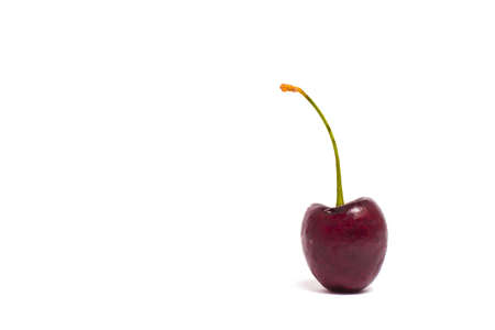 Fresh Organic Cherry on white backgroundの写真素材