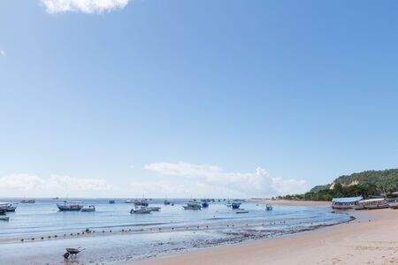 Morro de Sao paulo Beach in Salvador, Brazilのeditorial素材