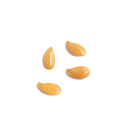 Close-up on a gold linseed in white backgroundの写真素材