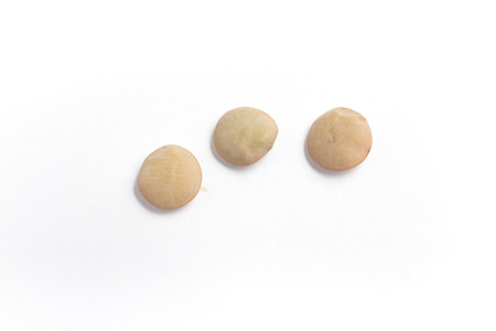 Close-up on a raw lentils on white background
