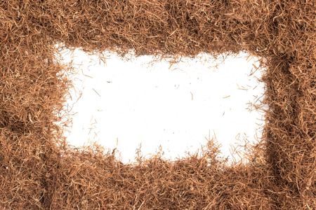 Dry Corn Silk Herb. Stigmata Maydis Frame isolated in white backgroundの写真素材