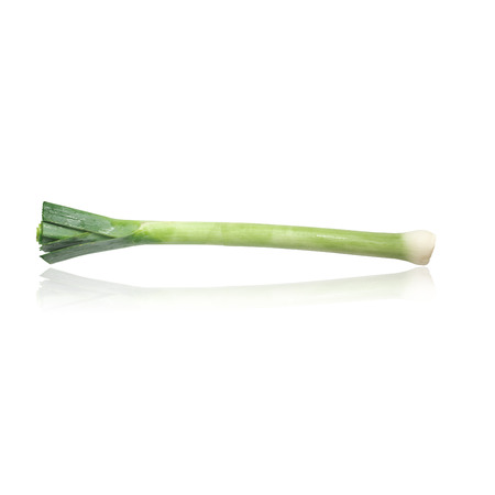 Fresh Leeks Ingredient isolated in white backgroundの写真素材
