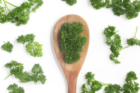 Parsley into a spoon isolated in white backgroundの写真素材