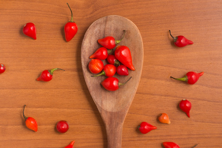 Biquinho Pepper into a spoon. Capsicum Chinense over a wooden tableの写真素材