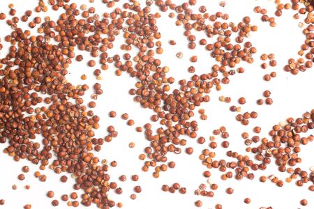 Red Quinoa seeds on white backgroundの写真素材
