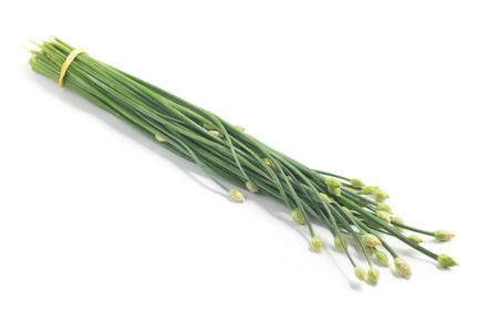 Garlic Chives Flower. Nira isolated on white backgroundの写真素材
