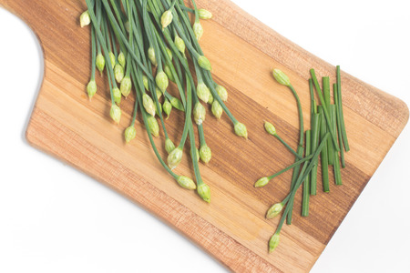 Garlic Chives Flower Sliced isolated on white backgroundの写真素材