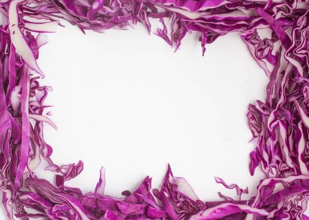 Sliced Cabbage Frame isolated on white backgroundの写真素材
